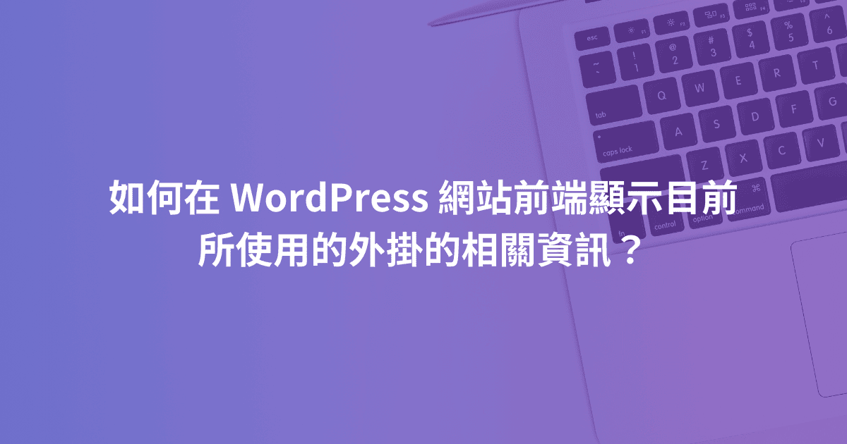 如何在 WordPress 網站前端顯示目前所使用的外掛的相關資訊？